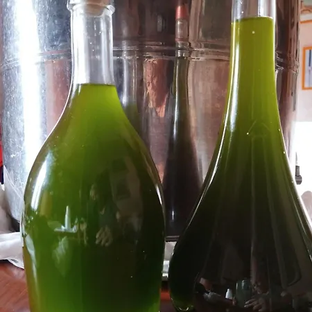 Dimora Filippo Vakantieboerderij *