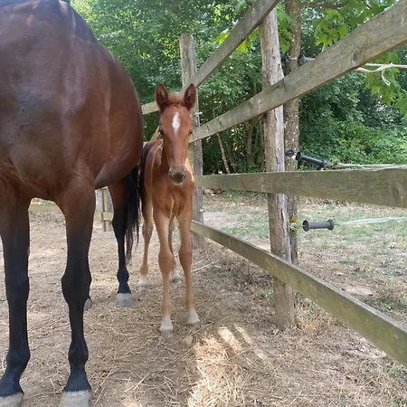 Dimora Filippo * SantʼElpidio a Mare