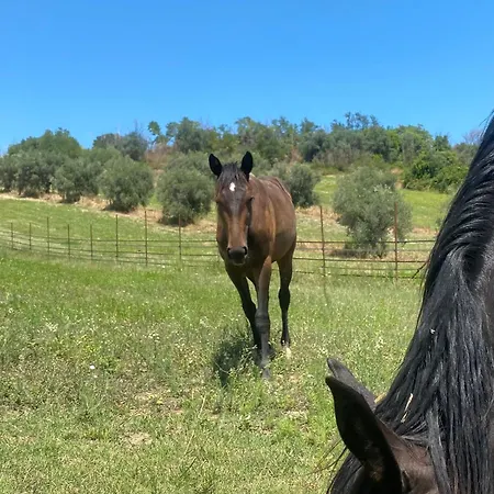 Vakantieboerderij Dimora Filippo