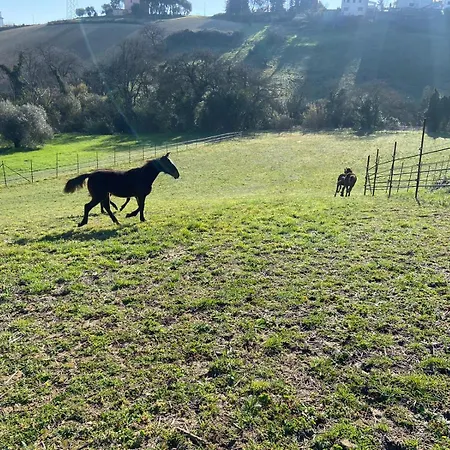 Dimora Filippo Vakantieboerderij