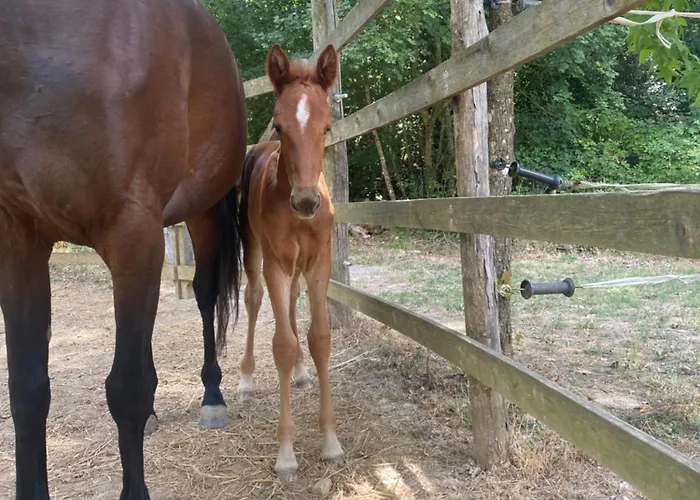Dimora Filippo * SantʼElpidio a Mare