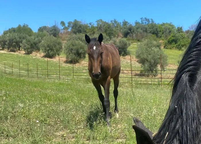 Alloggio per agriturismo Dimora Filippo